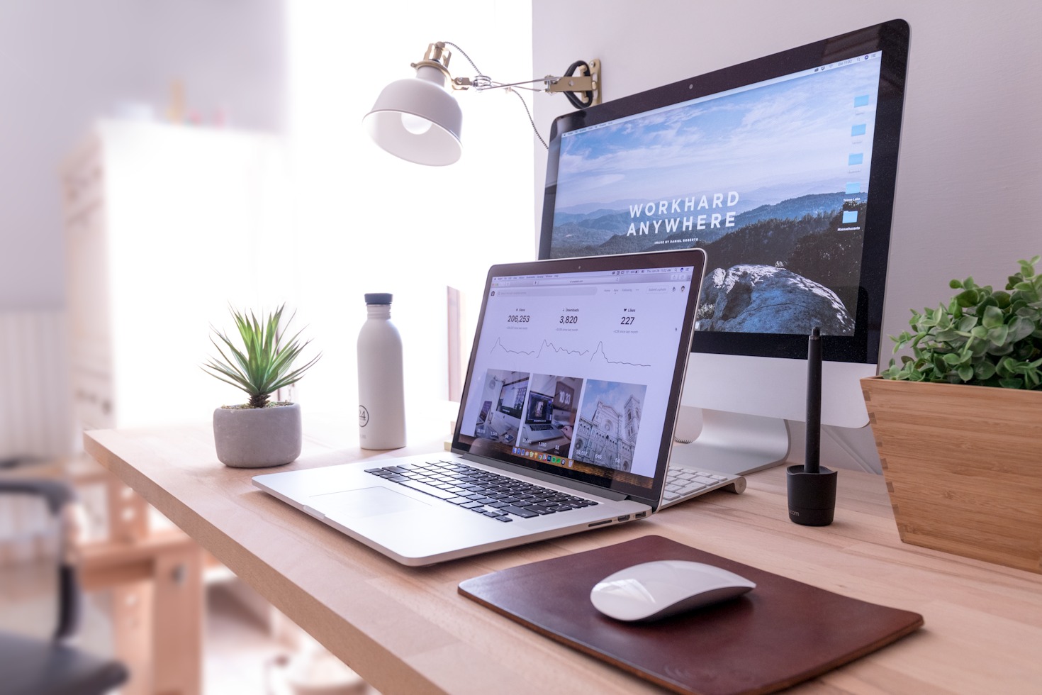 Albert Fracea’s Journey into Website Building